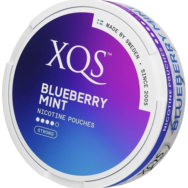 XQS Blueberry Mint